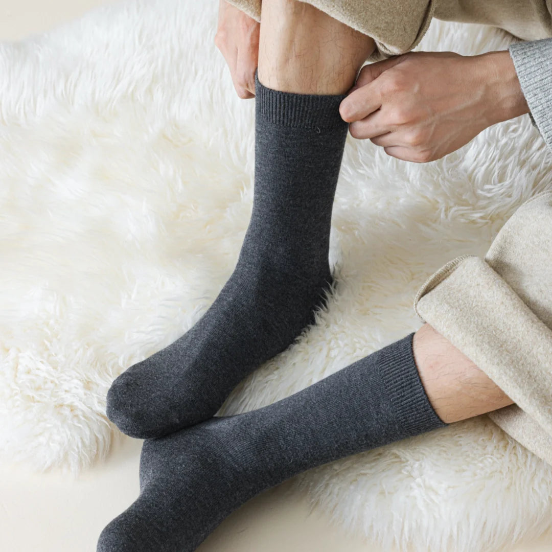Silk Blend Dress Socks