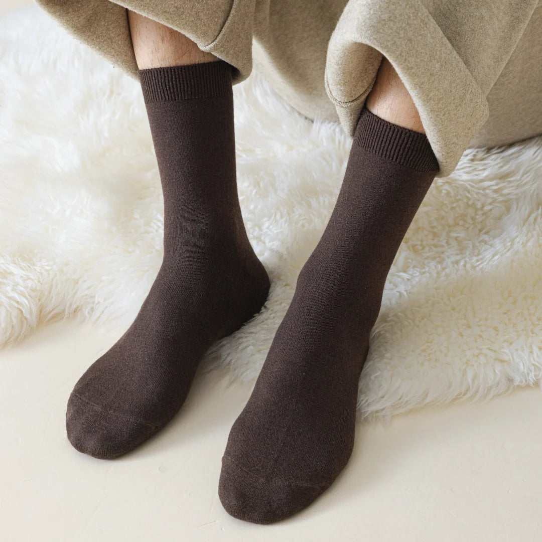 Silk Blend Dress Socks