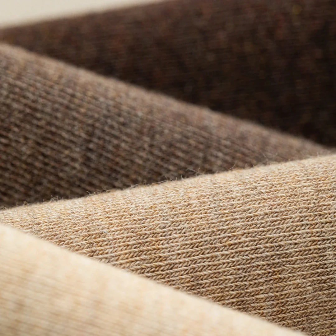 Premium Soft Cotton Socks